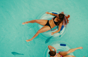 ������ 3DD